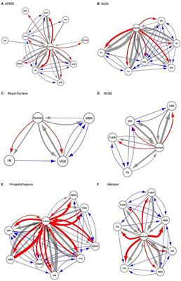 Humans Dominate the Social Interaction Networks of Urban Free-Ranging Dogs in India